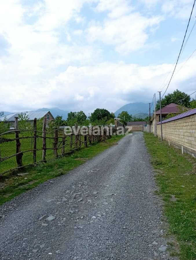 Satılır, torpaq, 20 sot, Qəbələ