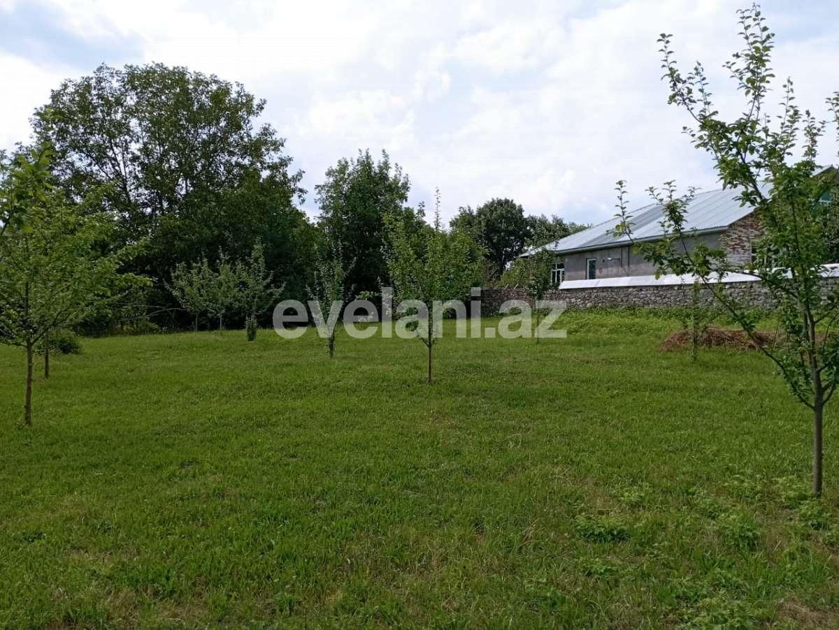 Satılır, torpaq, 20 sot, Qəbələ