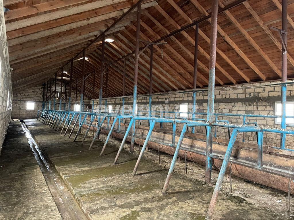 Satılır, obyekt, 300000 m², Beyləqan