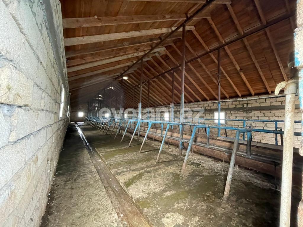 Satılır, obyekt, 300000 m², Beyləqan