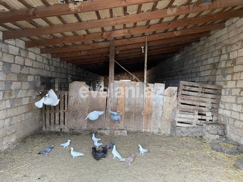 Satılır, obyekt, 300000 m², Beyləqan