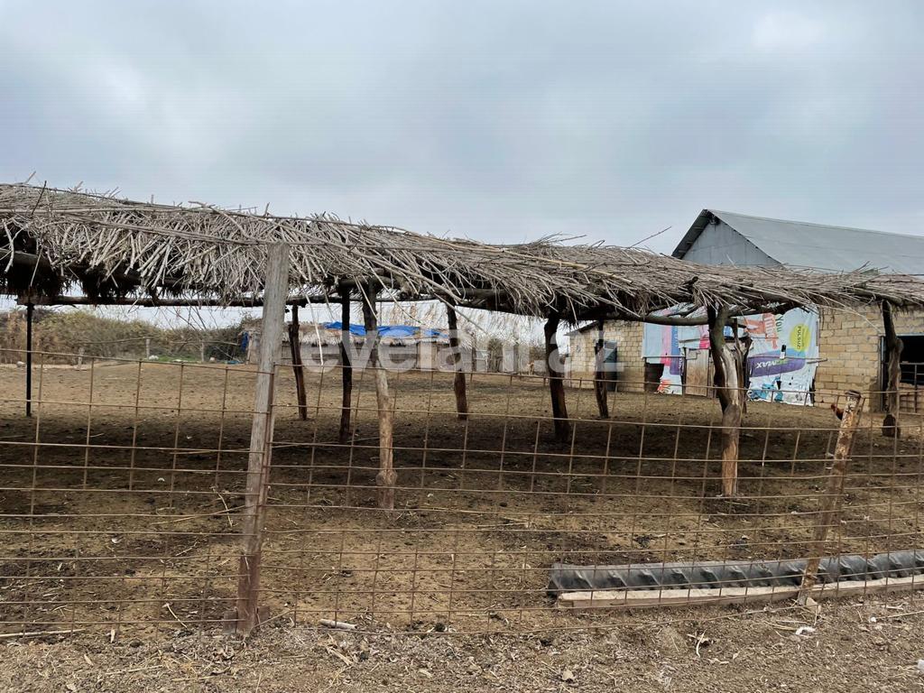 Satılır, obyekt, 300000 m², Beyləqan