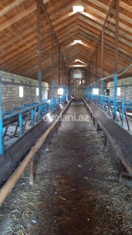 Satılır, obyekt, 300000 m², Beyləqan