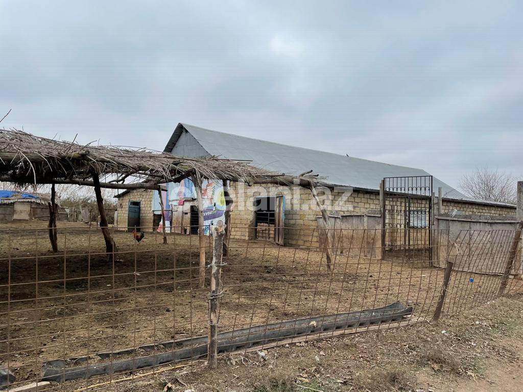 Satılır, obyekt, 300000 m², Beyləqan