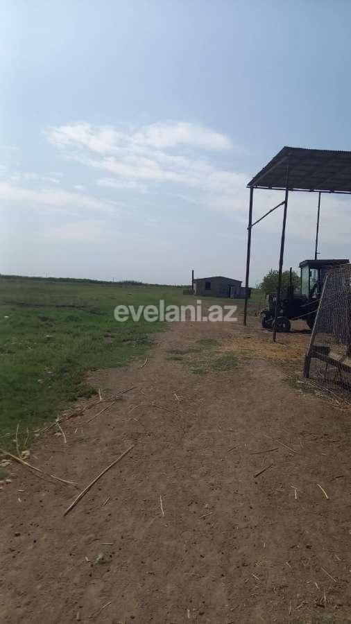 Satılır, obyekt, 300000 m², Beyləqan