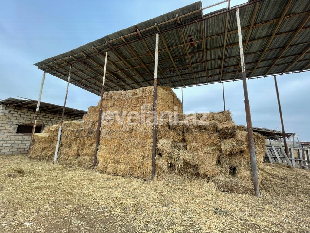 Satılır, obyekt, 300000 m², Beyləqan