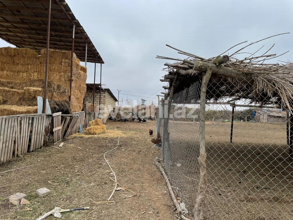 Satılır, obyekt, 300000 m², Beyləqan