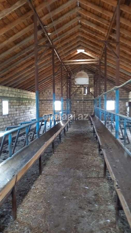 Satılır, obyekt, 300000 m², Beyləqan