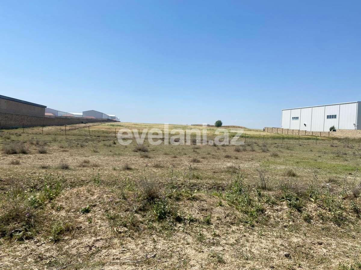 Satılır, torpaq, 500 sot, Bakı, Abşeron r, Pirəkəşkül q.