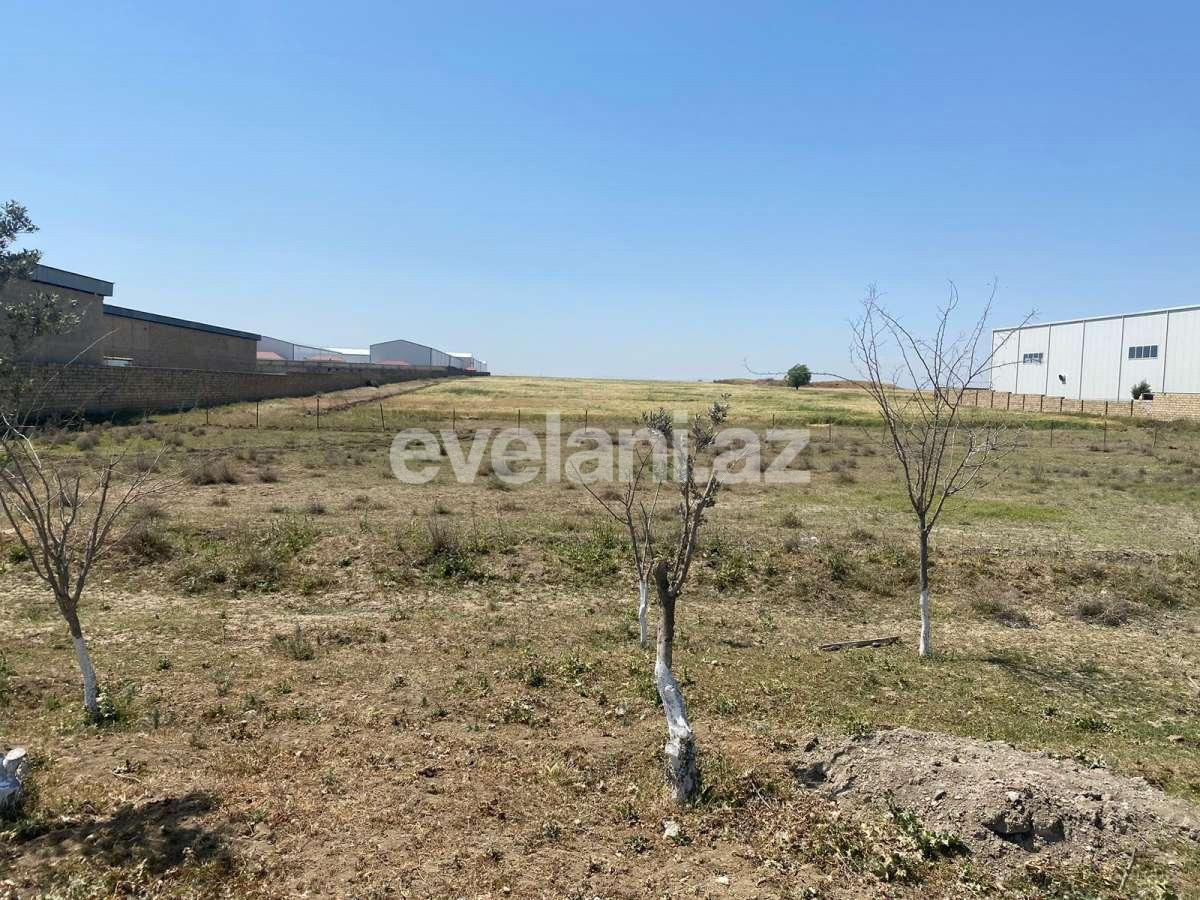 Satılır, torpaq, 500 sot, Bakı, Abşeron r, Pirəkəşkül q.