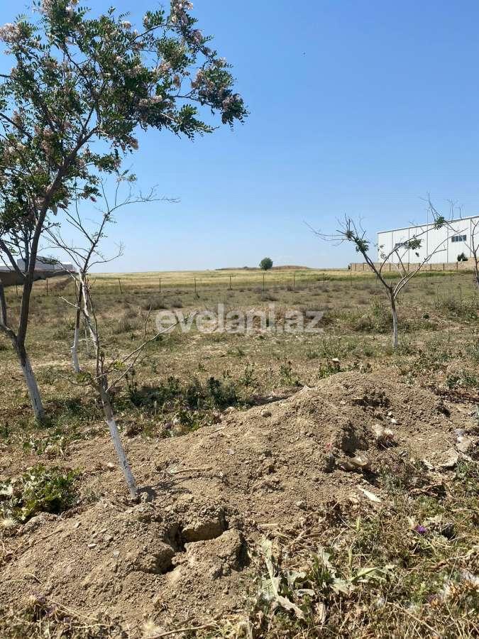Satılır, torpaq, 500 sot, Bakı, Abşeron r, Pirəkəşkül q.