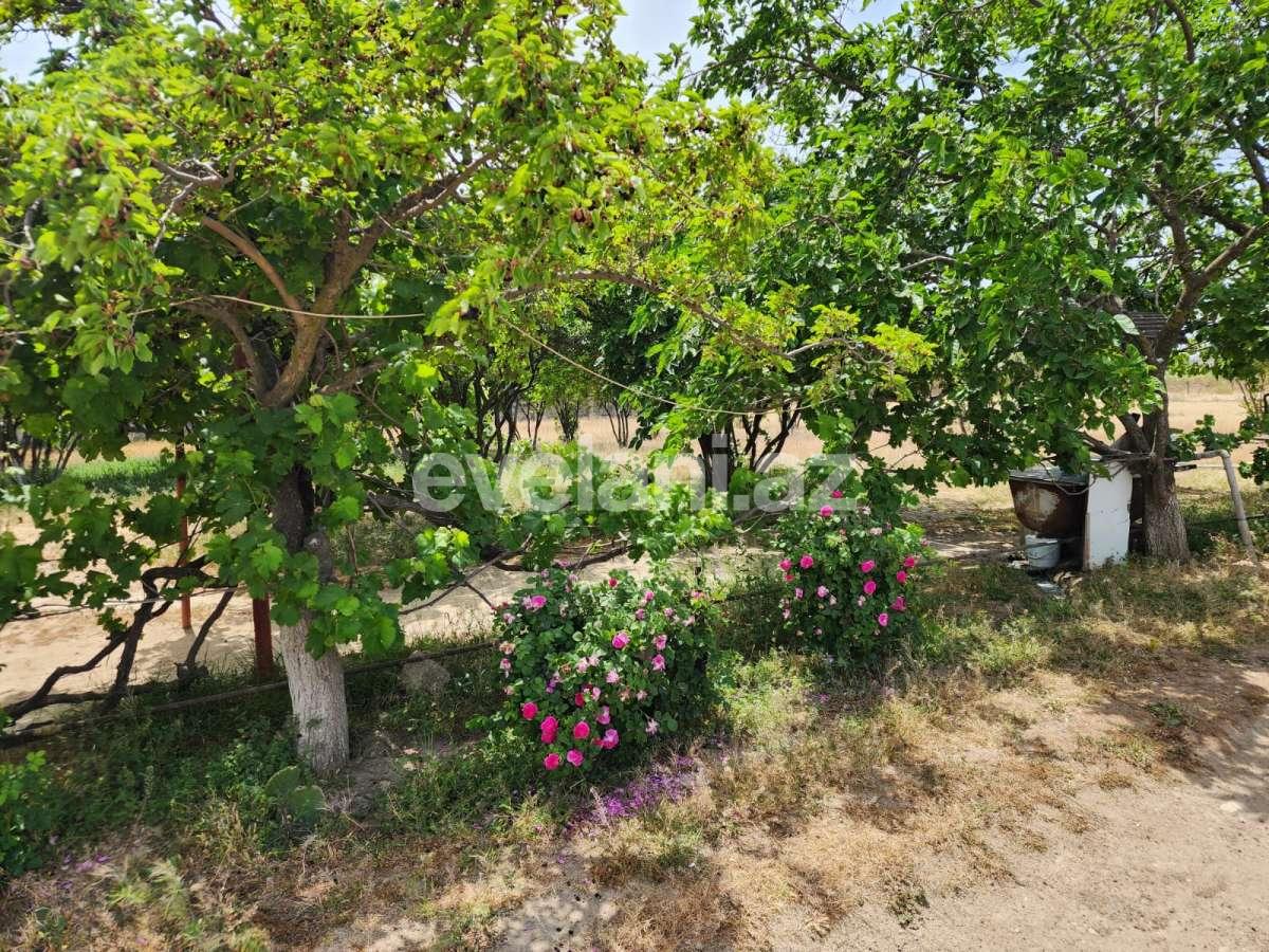 Satılır, torpaq, 104.99 sot, Bakı, Suraxanı r, Dədə Qorqud q.