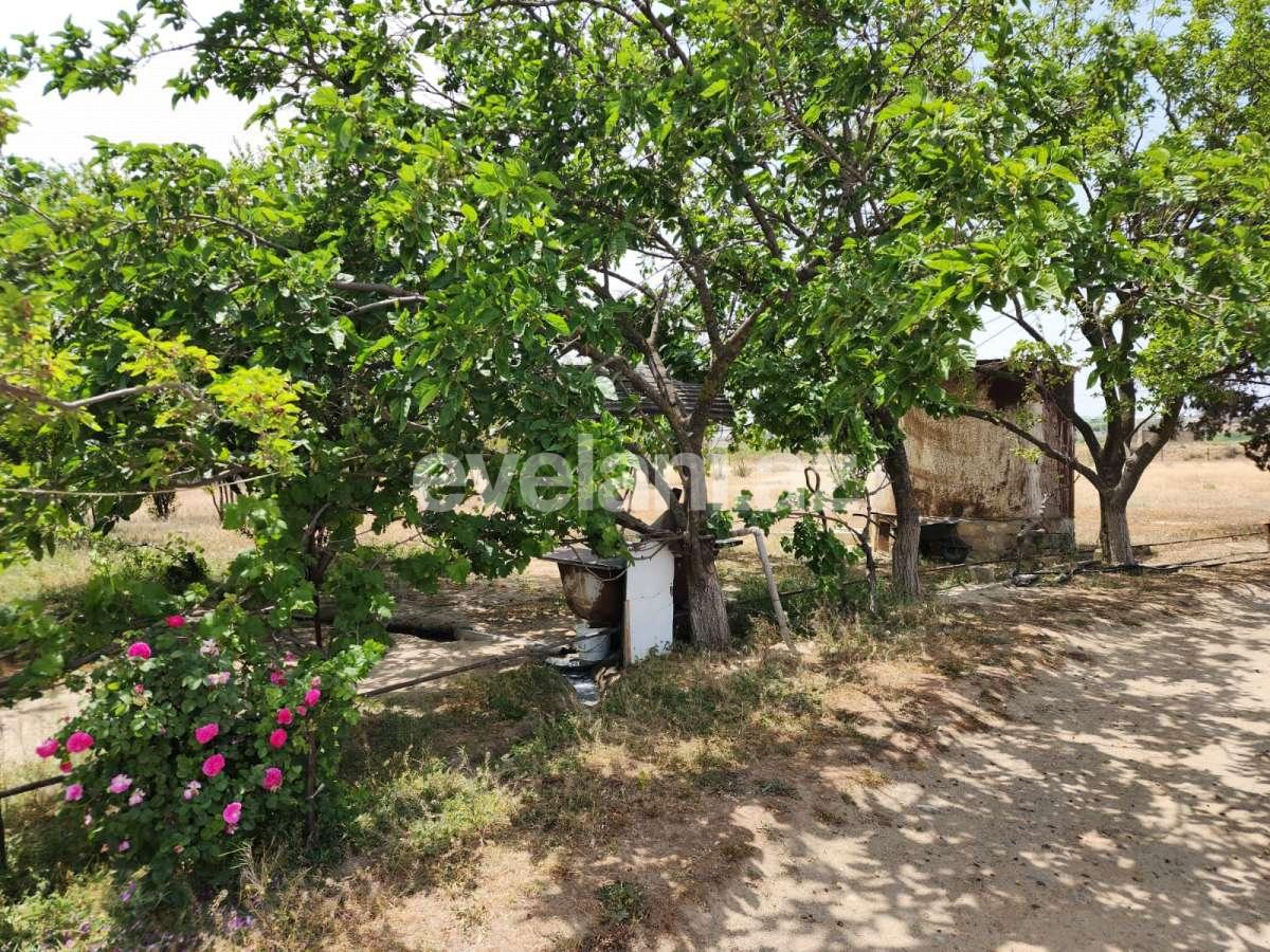 Satılır, torpaq, 104.99 sot, Bakı, Suraxanı r, Dədə Qorqud q.