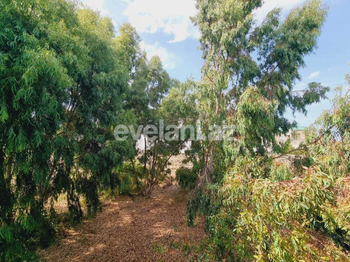 Sale, land, 14 ar, Baku, Khazar r, Mardakan d.