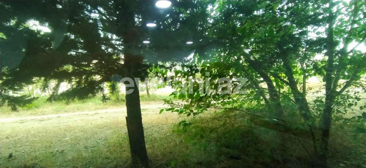 Kirayə verilir, ofis, 1 otaqlı, 20 m², Bakı, Nərimanov r, Gənclik m.