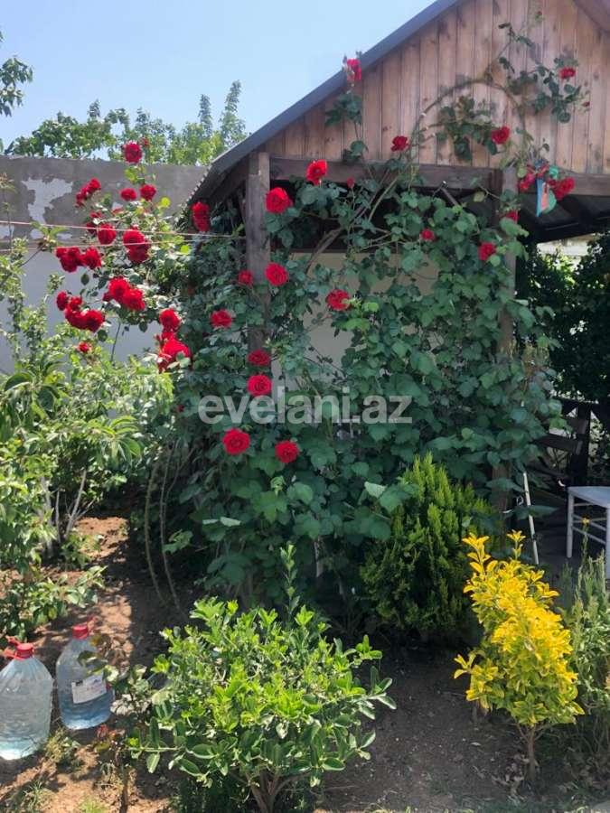 Sale, garden / house, 3 room, 100 m², Baku, Khazar r, Buzovna d.