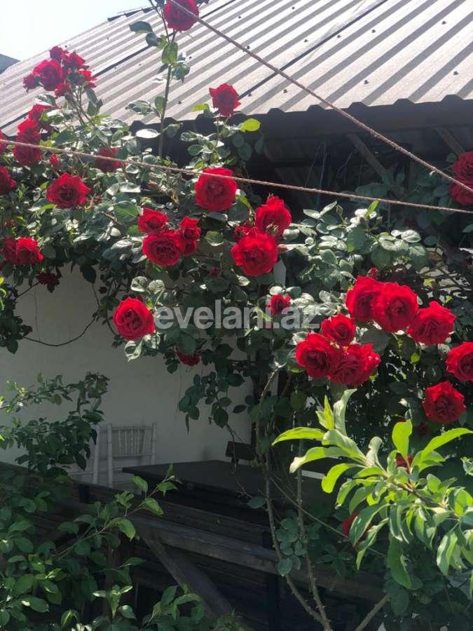 Sale, garden / house, 3 room, 100 m², Baku, Khazar r, Buzovna d.