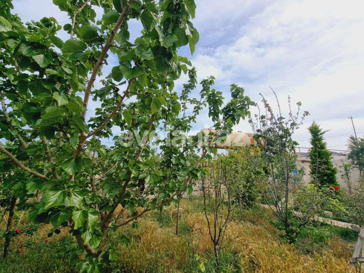 Rent, garden / house, 4 room, 170 m², Baku, Khazar r, Shuvalan d.