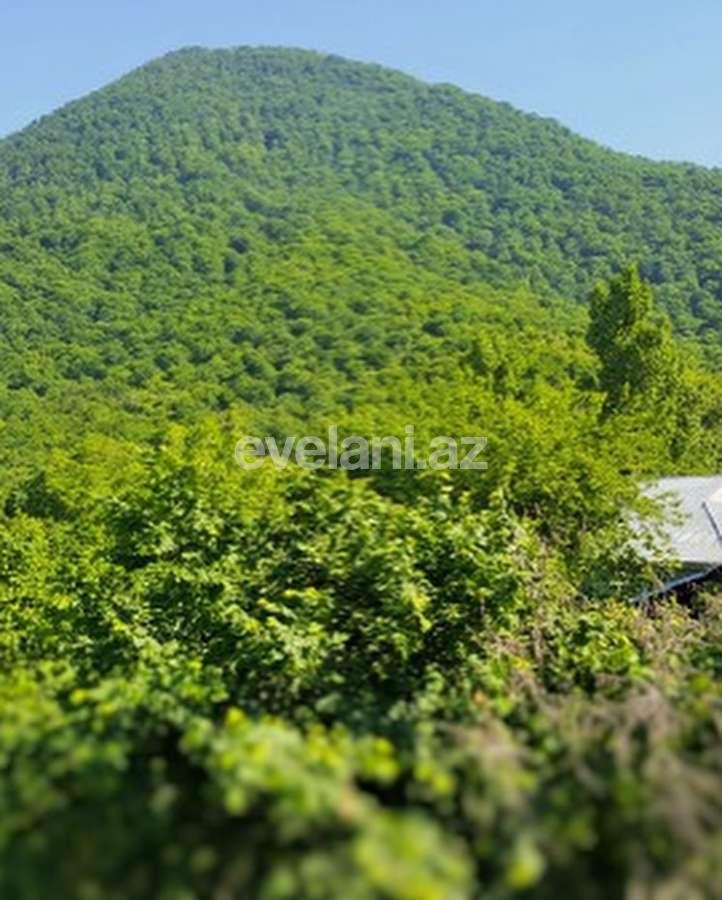 Satılır, həyət evi / bağ, 5 otaqlı, 200 m², Qəbələ