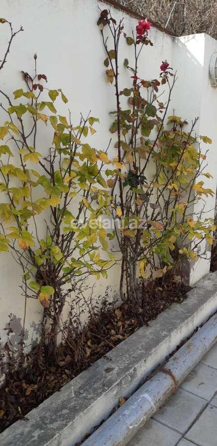 Satılır, həyət evi / bağ, 3 otaqlı, 100 m², Bakı, Səbail r, Badamdar q.