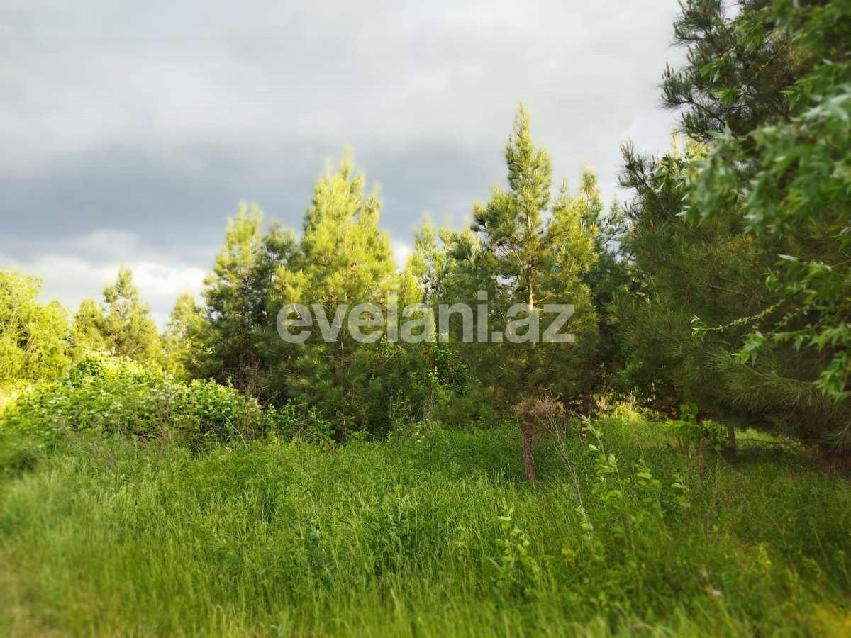 Satılır, torpaq, 6 sot, Bakı, Binəqədi r, Nəsimi m.