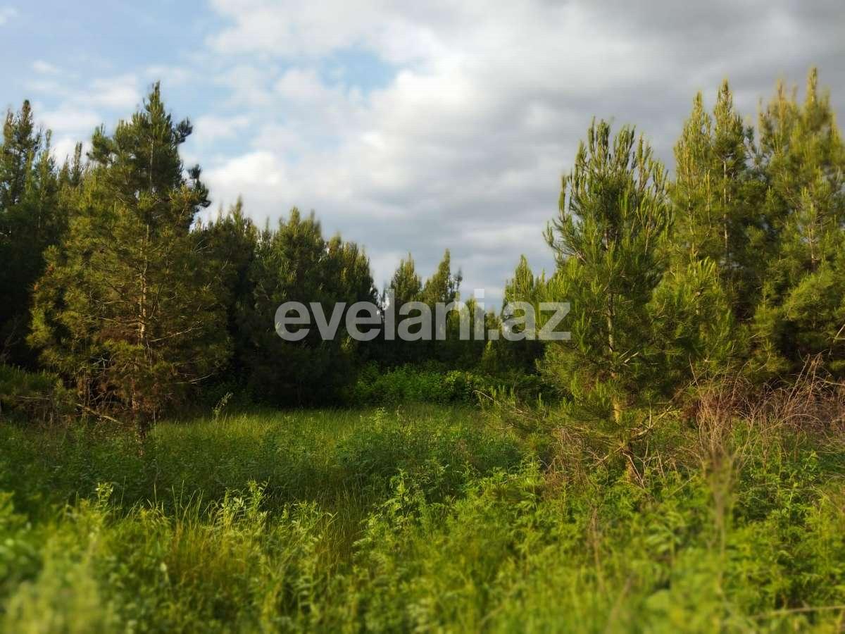 Satılır, torpaq, 6 sot, Bakı, Binəqədi r, Nəsimi m.