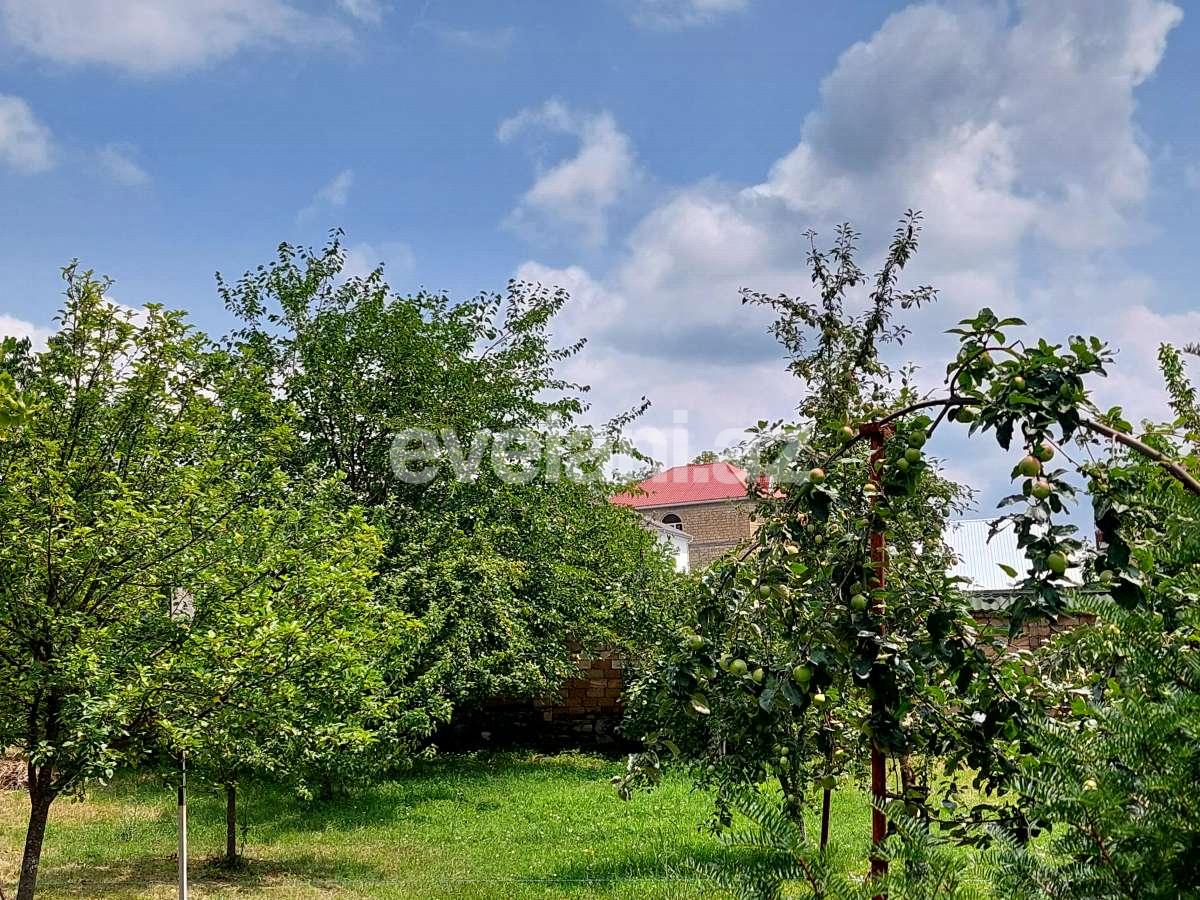 Satılır, torpaq, 10 sot, Qəbələ