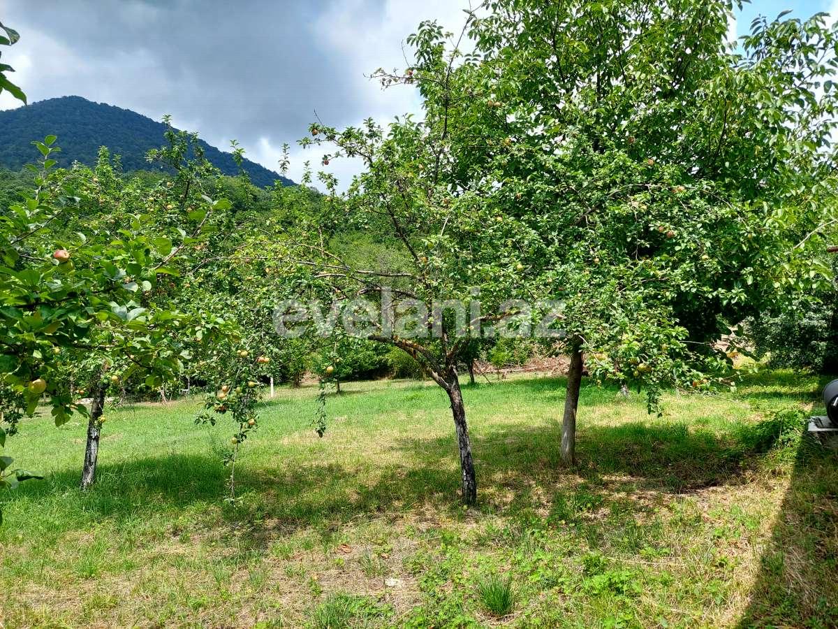 Satılır, torpaq, 10 sot, Qəbələ