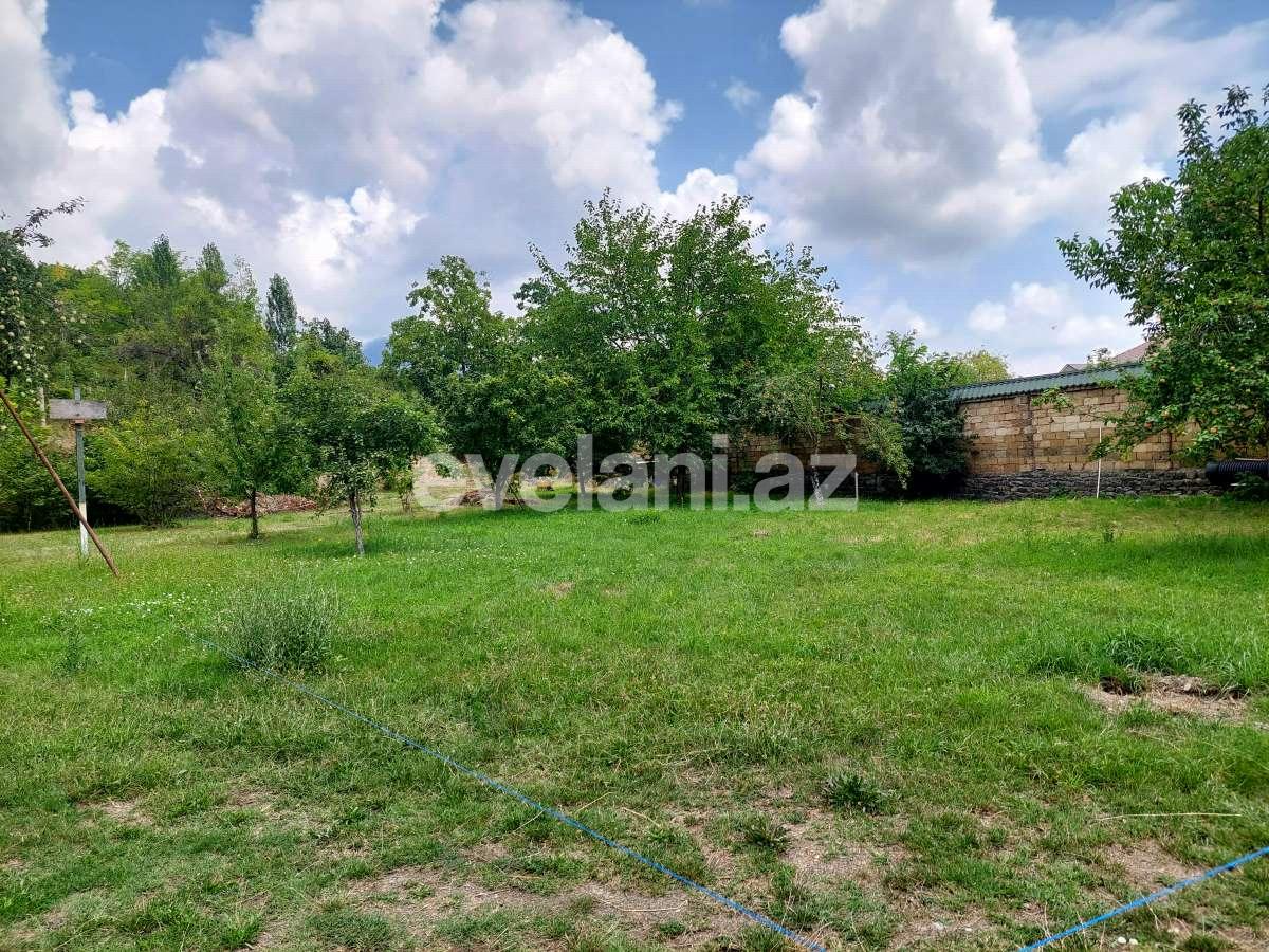 Satılır, torpaq, 10 sot, Qəbələ