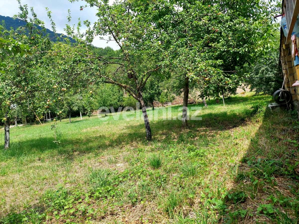 Satılır, torpaq, 10 sot, Qəbələ