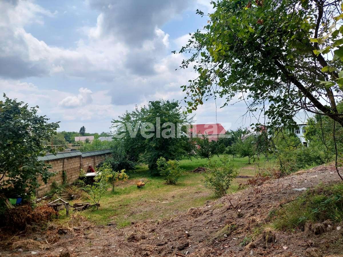 Satılır, torpaq, 10 sot, Qəbələ