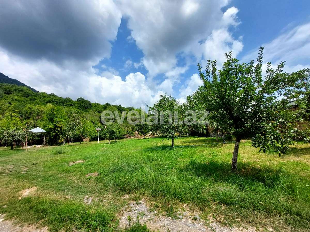 Satılır, torpaq, 10 sot, Qəbələ