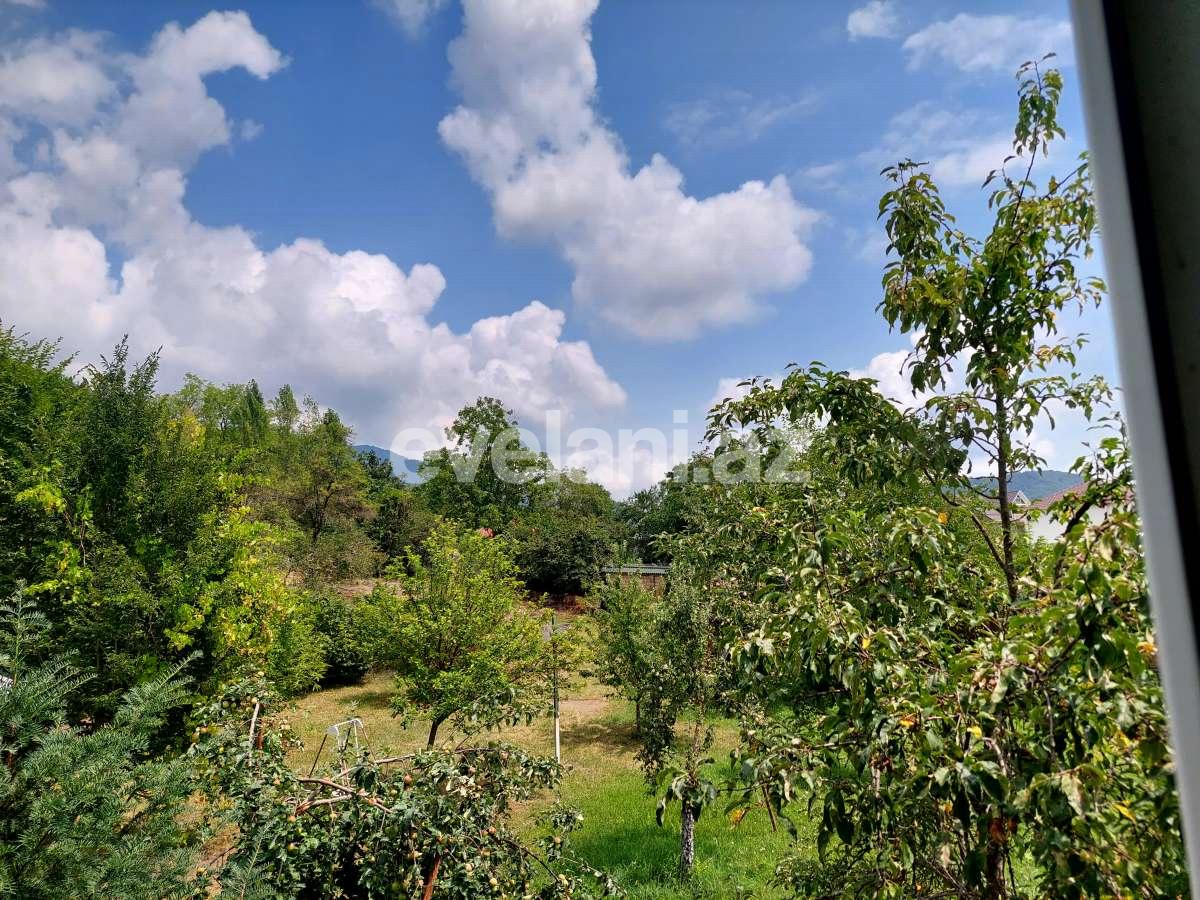 Satılır, torpaq, 10 sot, Qəbələ