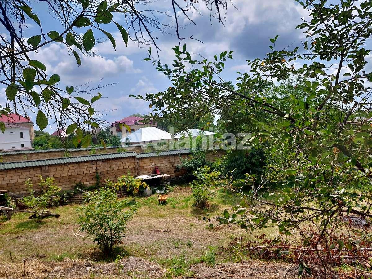 Satılır, torpaq, 10 sot, Qəbələ