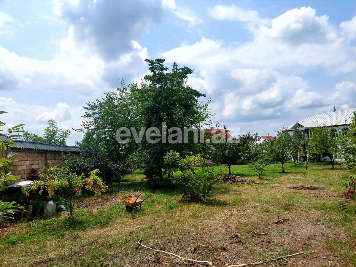 Satılır, torpaq, 10 sot, Qəbələ