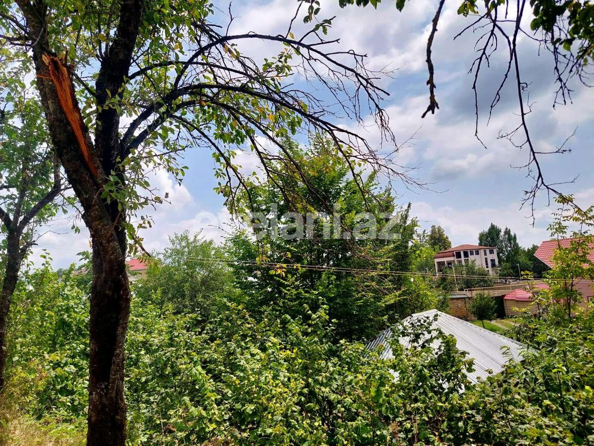 Satılır, torpaq, 10 sot, Qəbələ