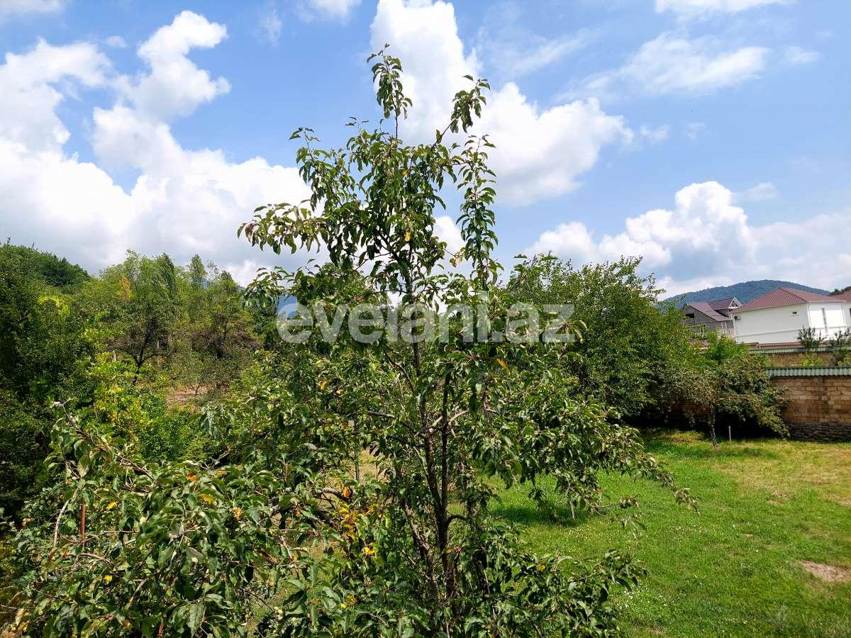 Satılır, torpaq, 10 sot, Qəbələ