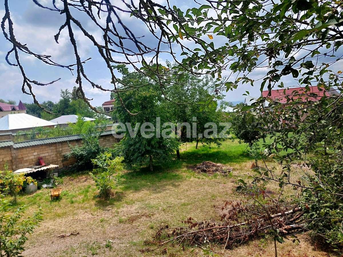 Satılır, torpaq, 10 sot, Qəbələ