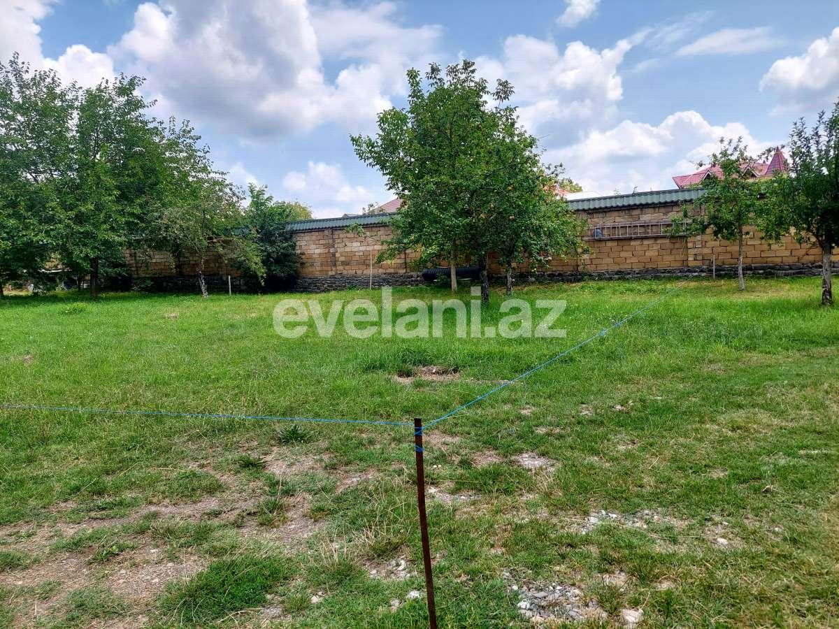 Satılır, torpaq, 10 sot, Qəbələ