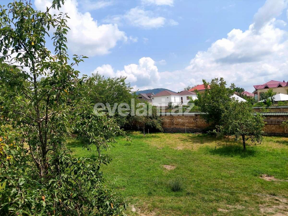 Satılır, torpaq, 10 sot, Qəbələ