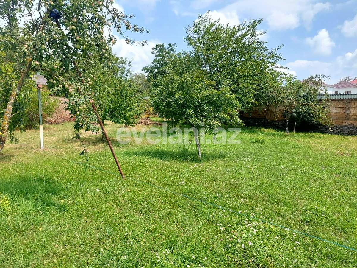 Satılır, torpaq, 10 sot, Qəbələ