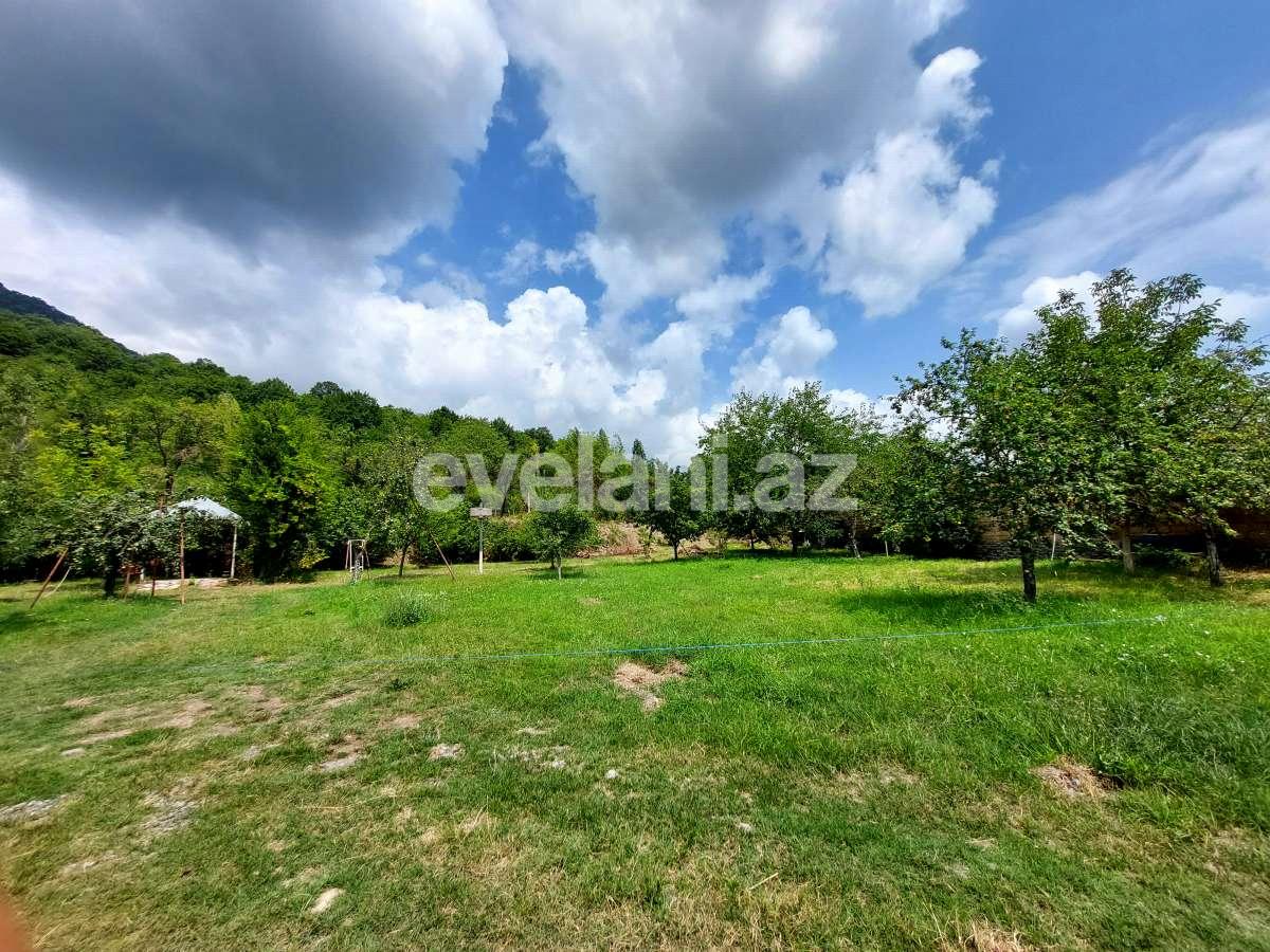 Satılır, torpaq, 10 sot, Qəbələ