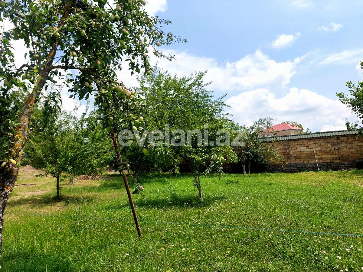 Satılır, torpaq, 10 sot, Qəbələ