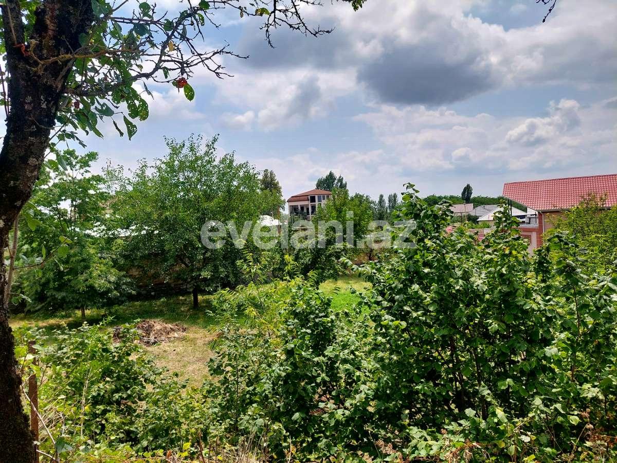 Satılır, torpaq, 10 sot, Qəbələ