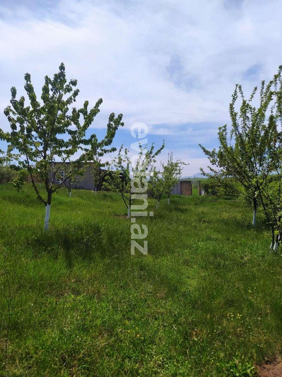 Satılır, torpaq, 14 sot, Qusar