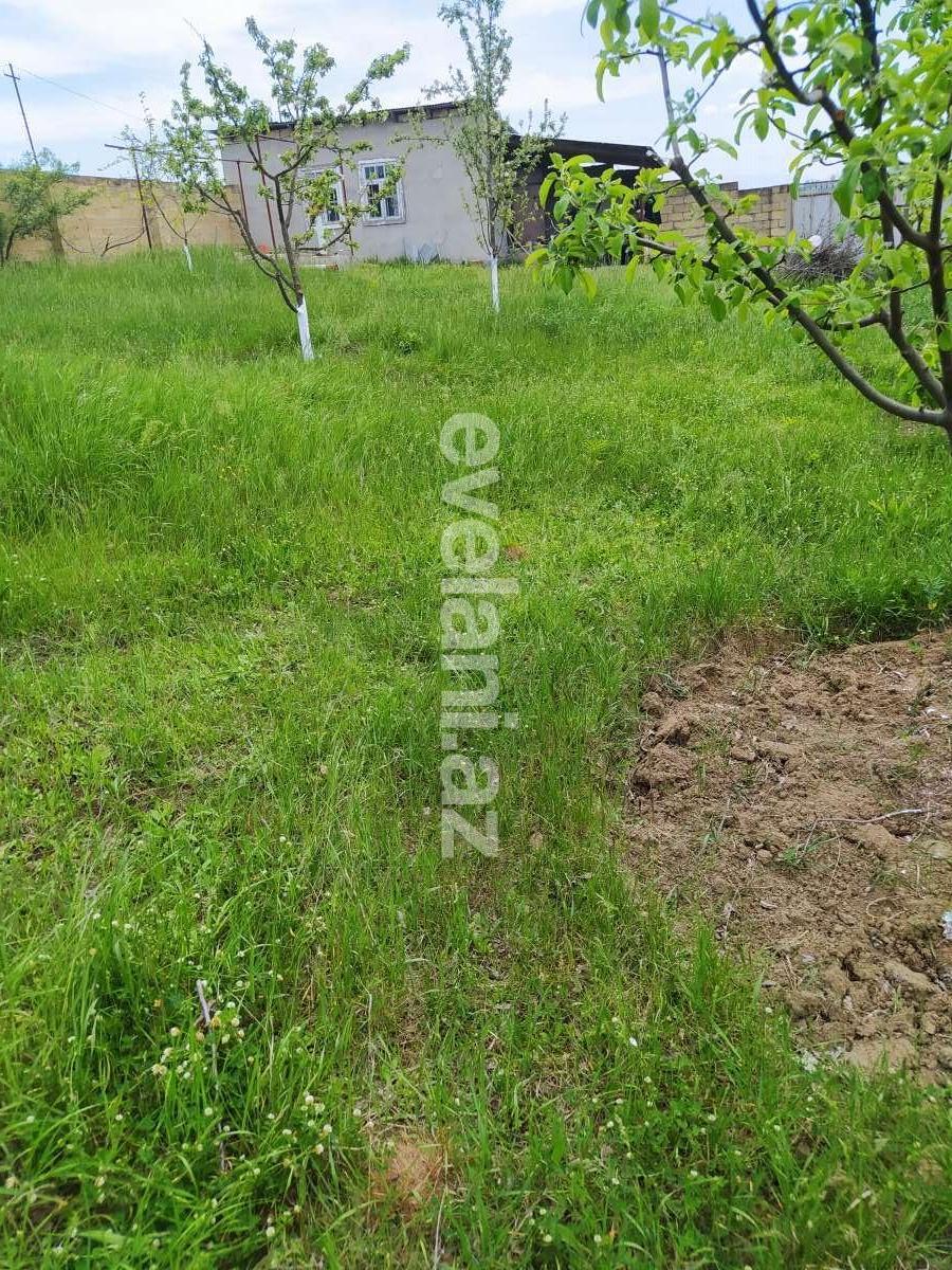 Satılır, torpaq, 14 sot, Qusar