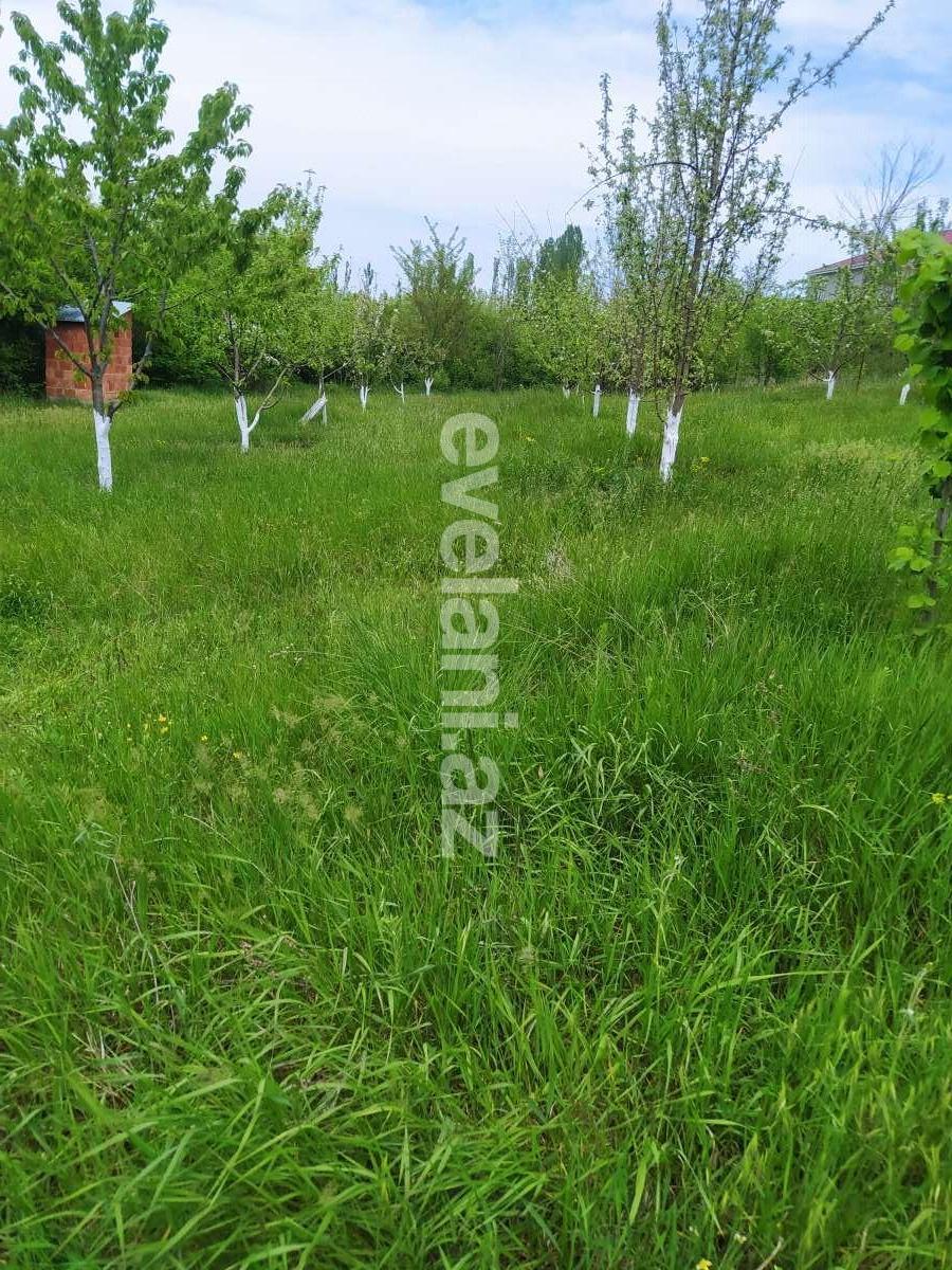 Satılır, torpaq, 14 sot, Qusar