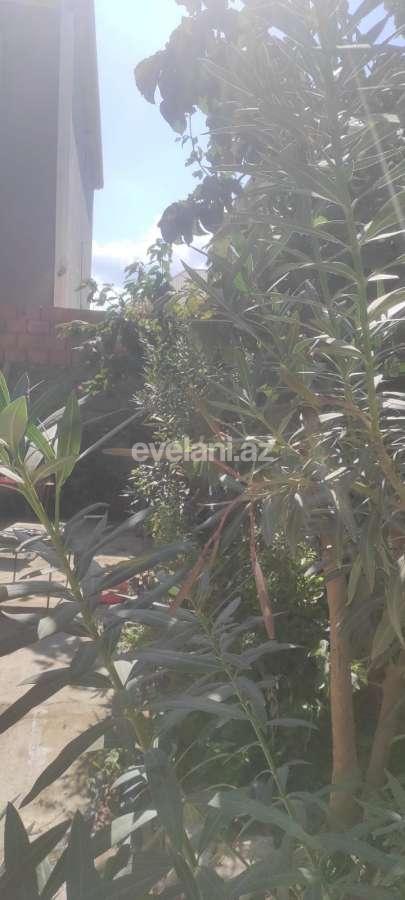 Satılır, villa, 6 otaqlı, 320 m², Bakı, Səbail r, Badamdar q.