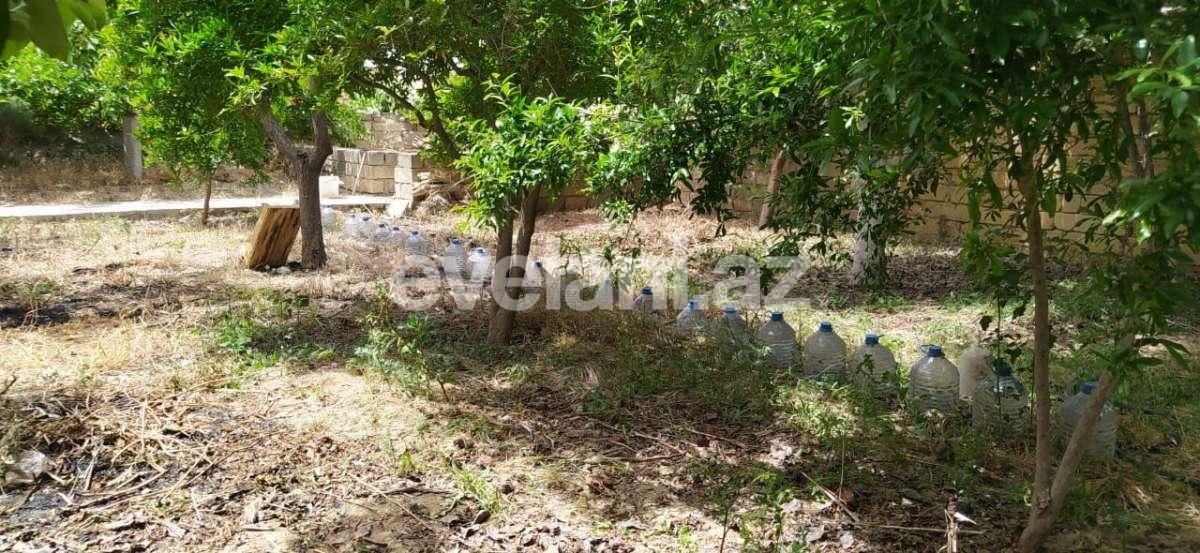Rent, garden / house, 5 room, 250 m², Baku, Sabail r, Badamdar d.