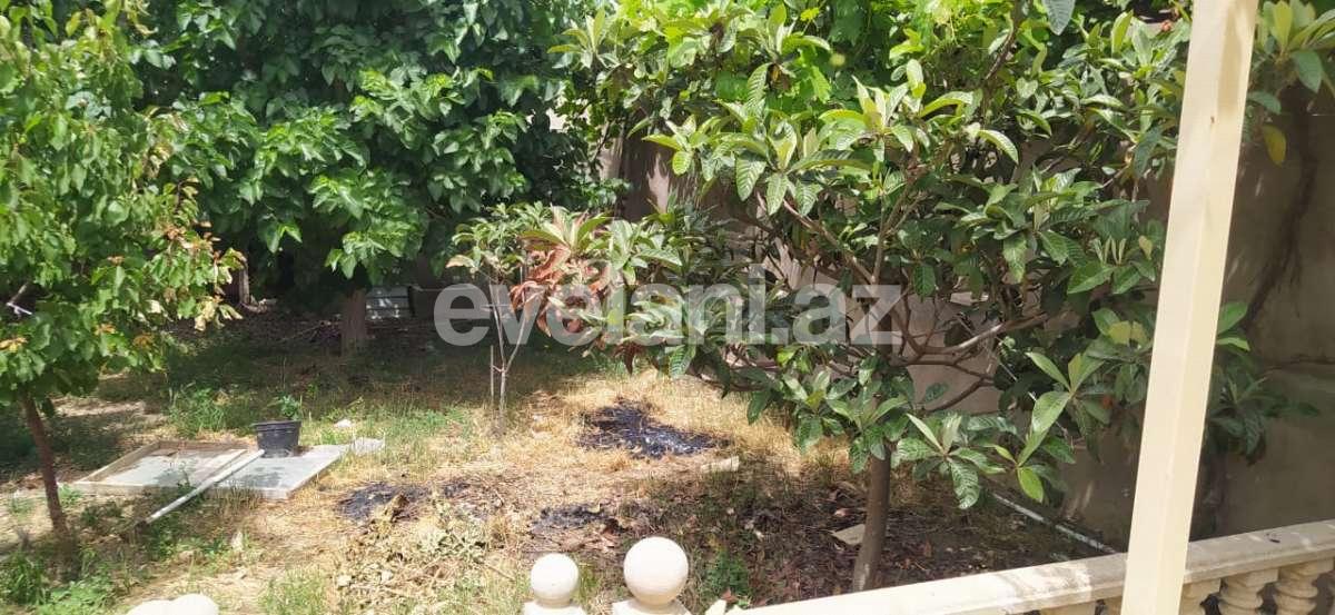 Rent, garden / house, 5 room, 250 m², Baku, Sabail r, Badamdar d.